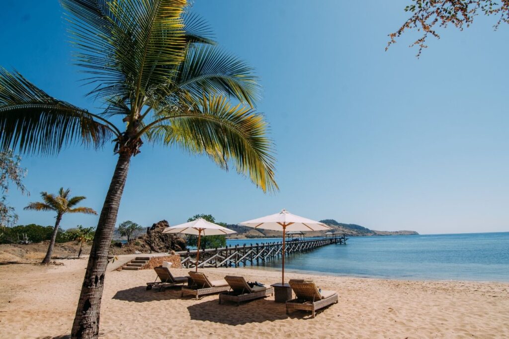 Beach with palm trees