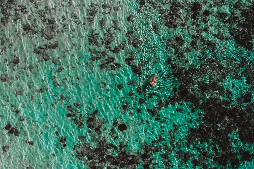 Aerial view of the house reef
