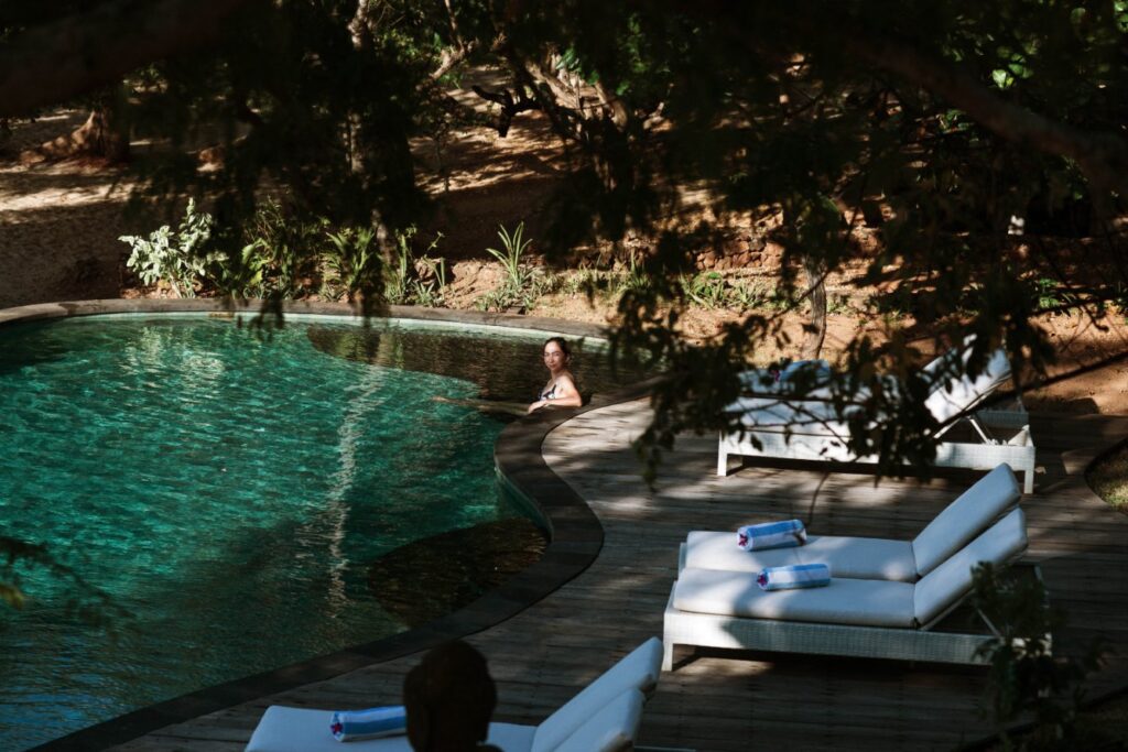 Pool surrounded by greenery