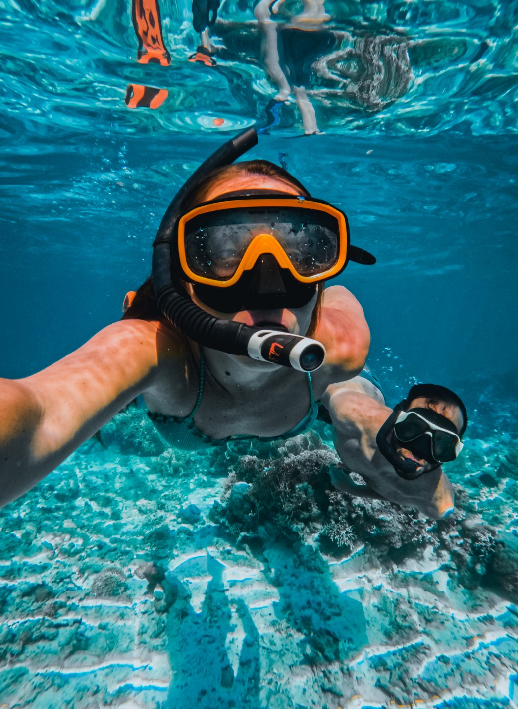 Snorkelling the house reef